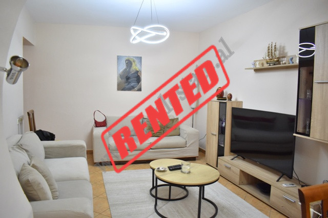 Apartament me qira ne rrugen Myslym Shyri prane zones 21 Dhjetorit ne Tirane.
Ndodhet ne katin e tr